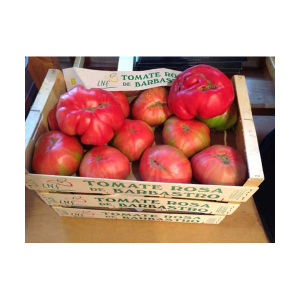 TOMATE ROSA DE BARBASTRO CAJA 6 KG